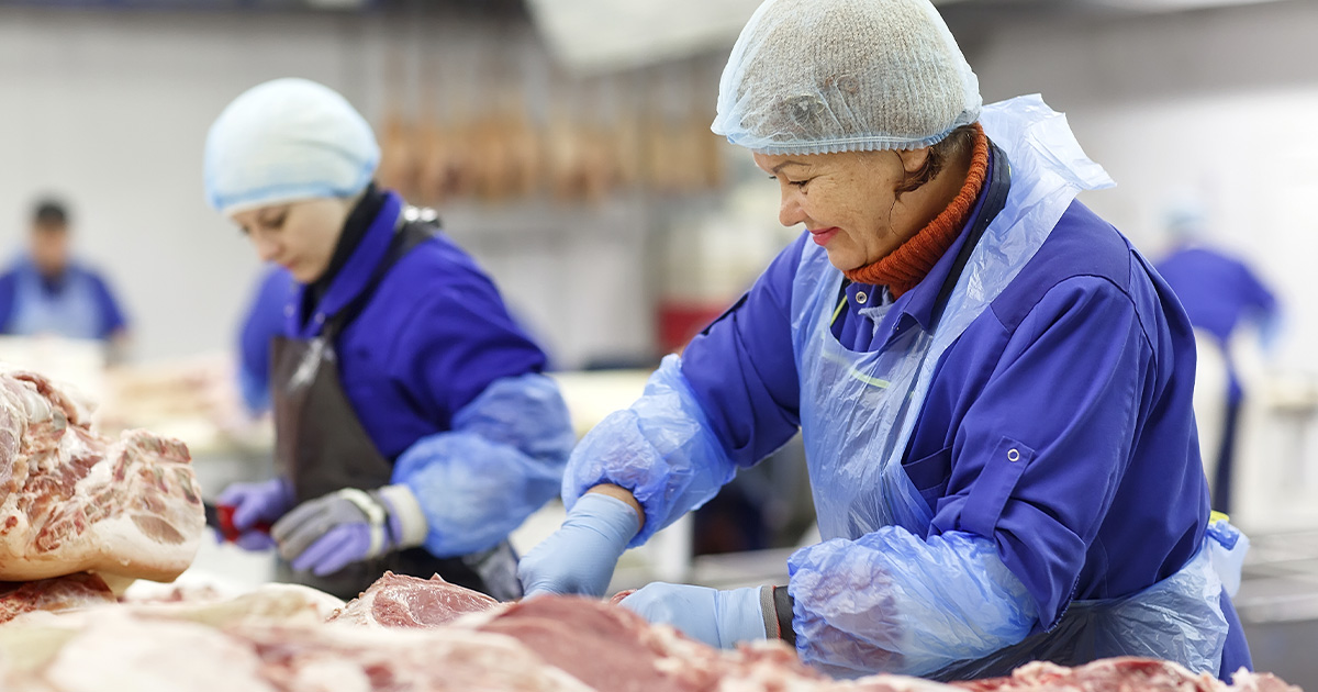 Principais medidas de higiene e segurança na indústria de abate